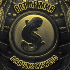 Art of MMA Braunschweig