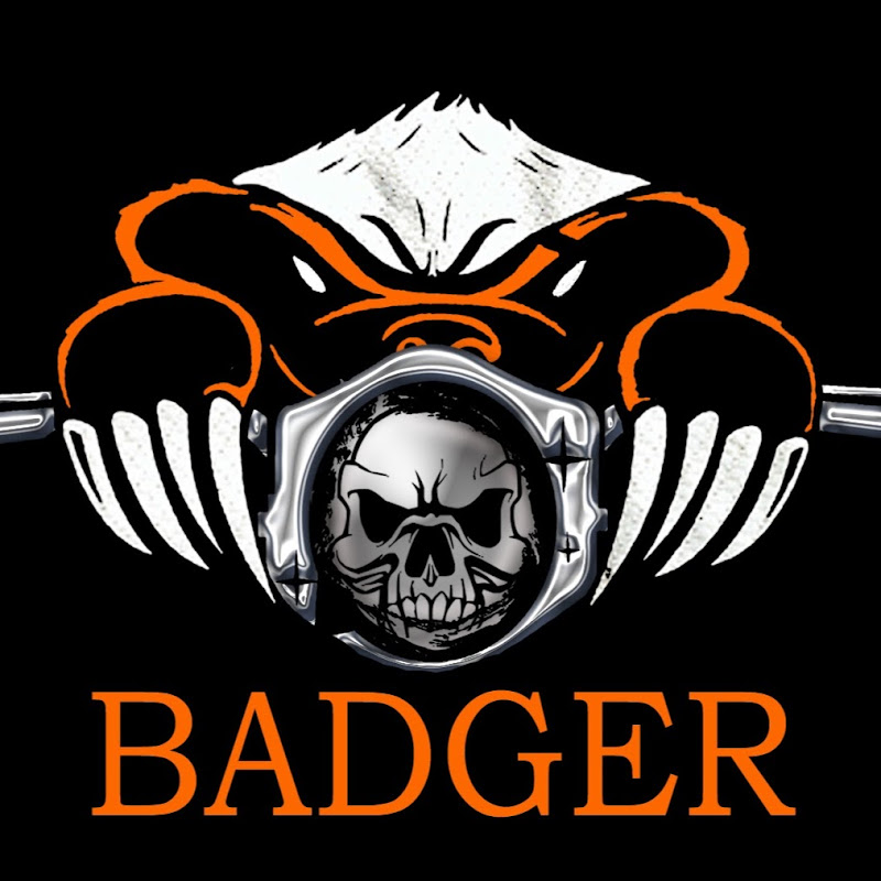 Badgers Business Solutions