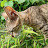 @sauravpandey5924 Avatar