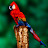 @jasfiona's avatar
