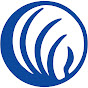 NAMI Central Texas logo
