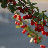 @hany4727