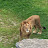 @Misterennaji Avatar