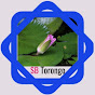SB Torongo logo