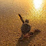 JRW3mo7Rr9g-channel-avatar-Alex N Channel