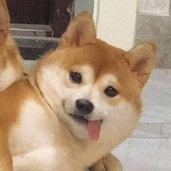 素質吉差アイコン画像