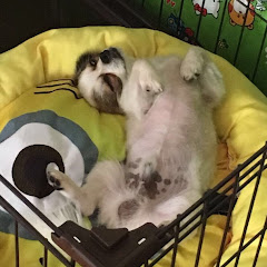 今話題のch