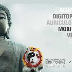 HONG LONG MTC - Escuela de Medicina China y Qigong Avatar