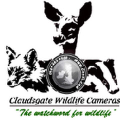Логотип каналу Claudesgate Wildlife