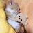 @치즈-q5z