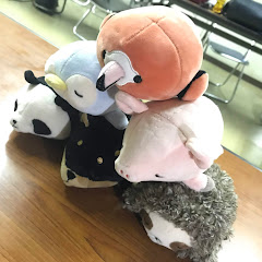 えいしきゅん