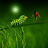 @jesimoh7566 Avatar