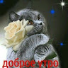 Автор