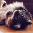 KToKo8IJuKY-channel-avatar-aliciajazmin