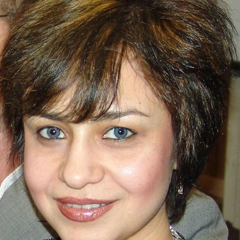 Vlada U
