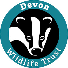 Devon Wildlife Trust channel logo