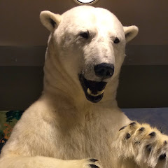 水野なお美