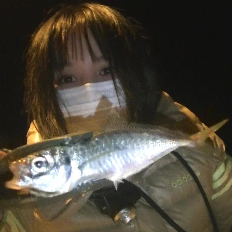 わっさむboxのサムネイル