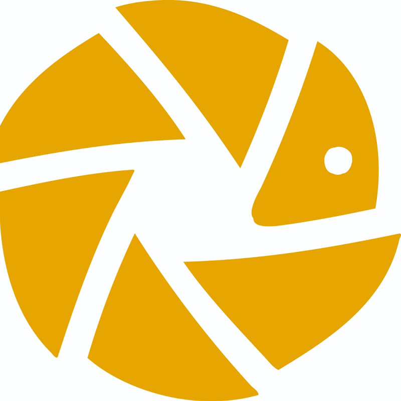 Pangolin Wildlife Photography Logo