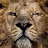 @NielsGambino Avatar