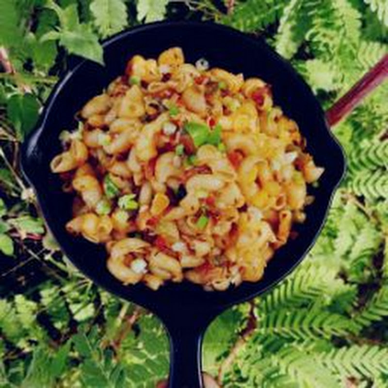 Scrumptious Indian Foods (Scrumptious Foods)