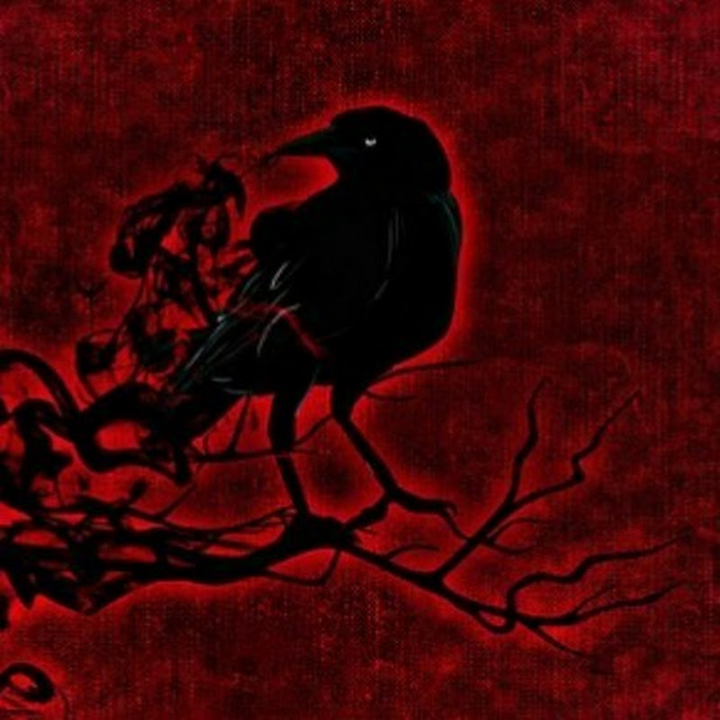 TheRed Raven