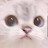 @딱딱한복숭아-k5r