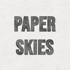 Paper Skies net worth