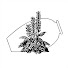 YknyvZsSPOM-channel-avatar-Mediterranean Garden Society video channel