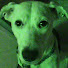 xvSlxNj_qD8-channel-avatar-alessia d'andrea