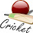 Cricket 11 News 2.0