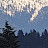@justtim682 Avatar