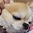 @행복행뽁이