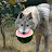 @OneTwoWolf's avatar
