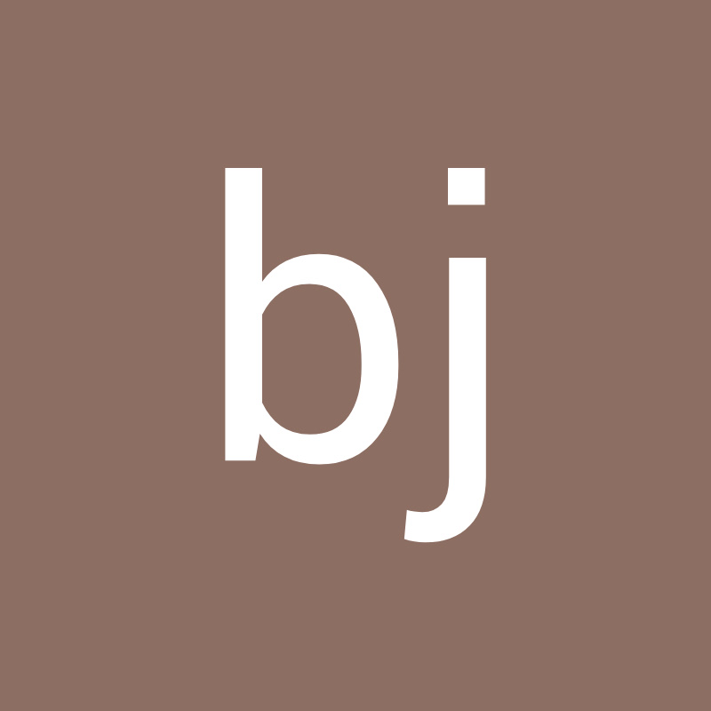 레온bj