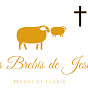 Les Brebis de Jesus USA logo