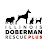 IL Doberman Rescue Plus