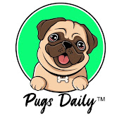 Pugs Daily