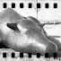 SGo0mAJzwuA-channel-avatar-wertsdb71