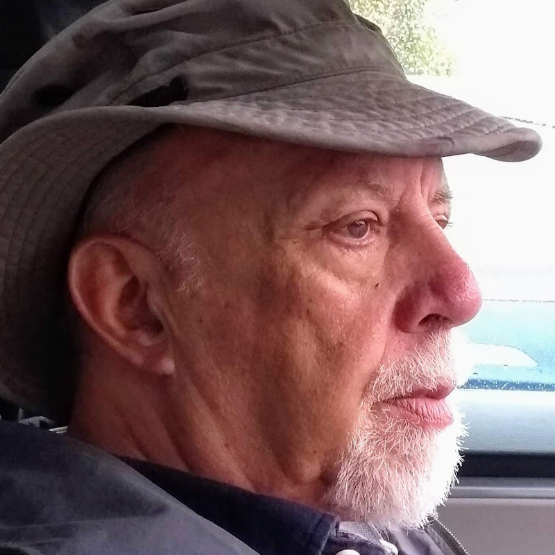 Terry Hicks