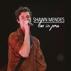 Shawn Mendes Live in Perú