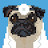 @drpuggle9877