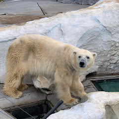 素戔嗚アイコン画像