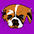 iIEcezXS39k-channel-avatar-Bry Shel Gaming