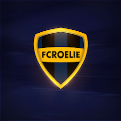 FC Roelie net worth