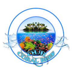 Our Coral Reef channel logo