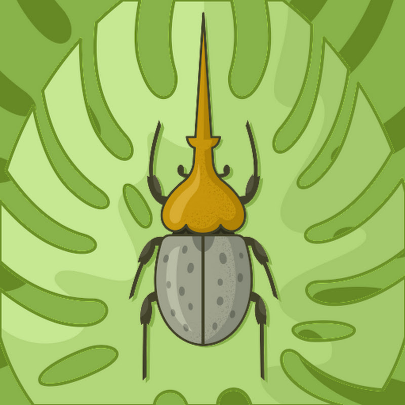 Fundación Transfiguart icon