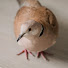 MWsQUwT3qVc-channel-avatar-Life with doves