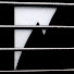 _ZFoQHtiGs0-channel-avatar-Bassberserk