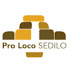 wsob9B5Faz0-channel-avatar-ProLoco Sedilo